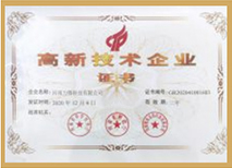 Сертификат системы управления качеством ISO9001 технологии Lifeng